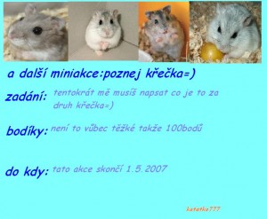 Obrazek
